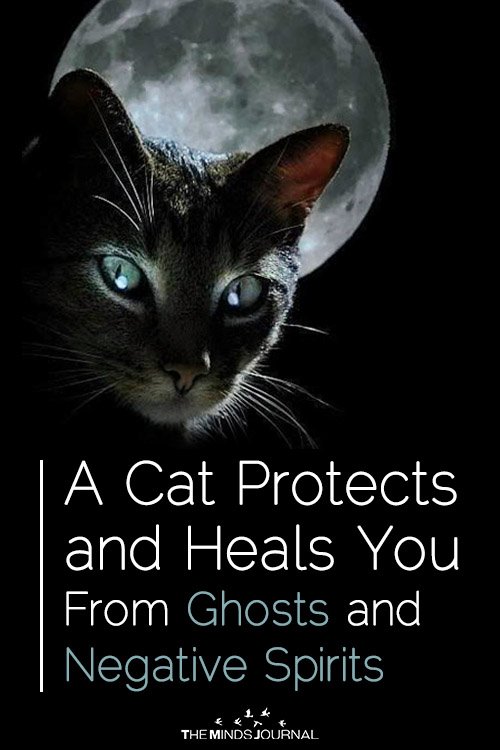 Cats Protect From Negative Spirits