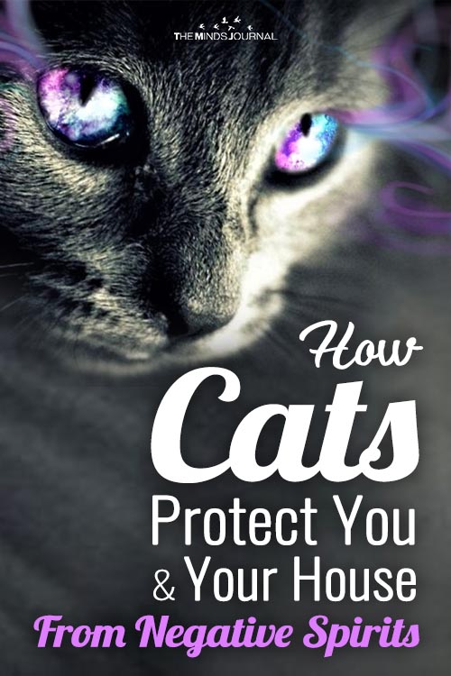 How Cats Protect You and Your House From Negative Spirits