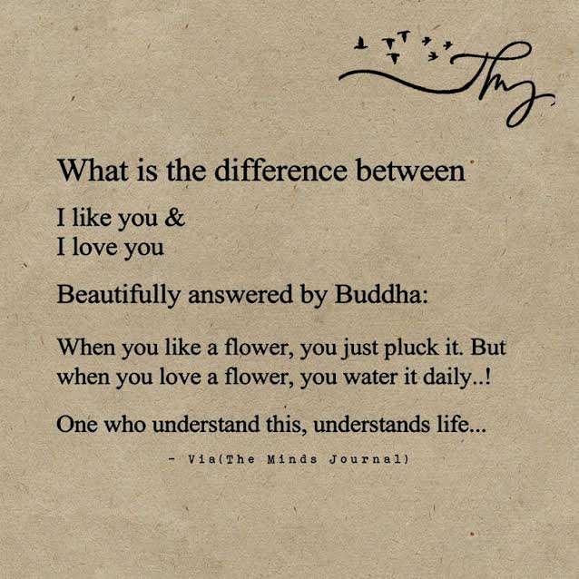The Difference between Liking and Loving