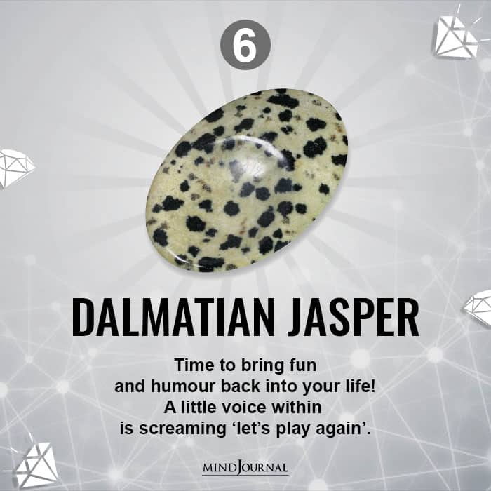 Dalmatian Jasper Time to bring fun
