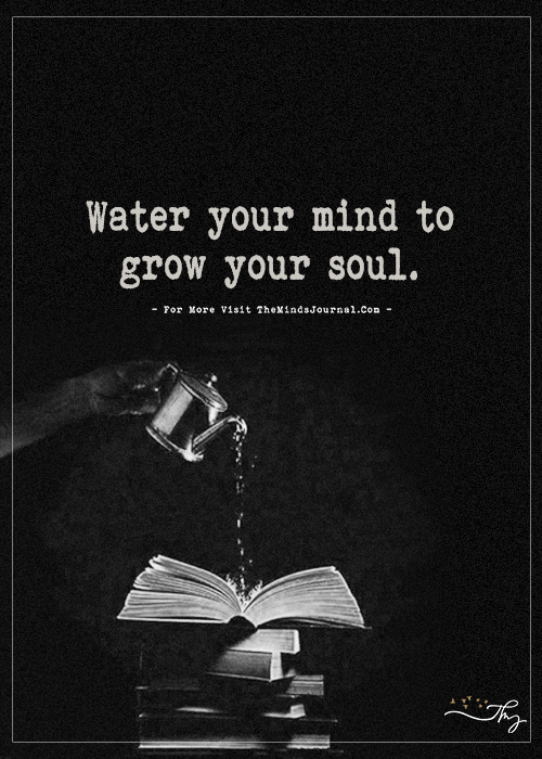 Water Your Mind