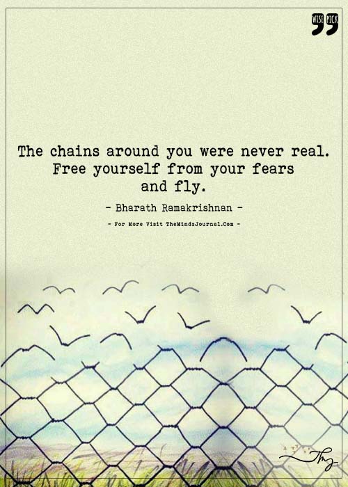 Best flights are taken after you have the courage to break free