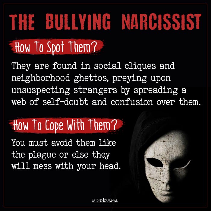 Types of Narcissists bully