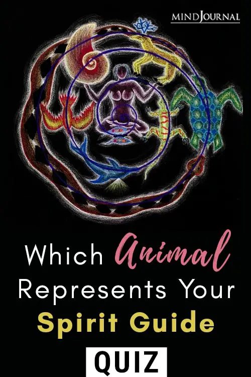 Animal Represents Spirit Guide Pin