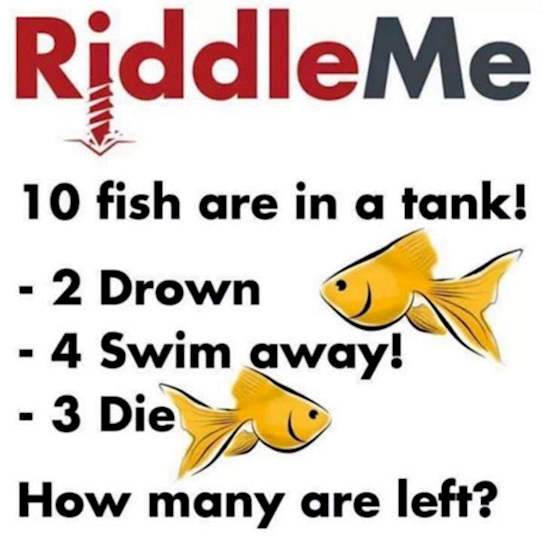 Impossible Riddles 4