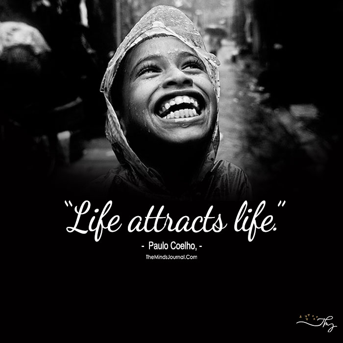 Life Attracts Life