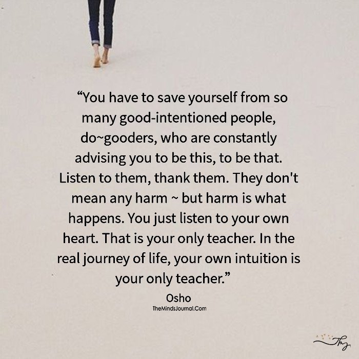 Your Own Intuition Is Your Only Teacher
