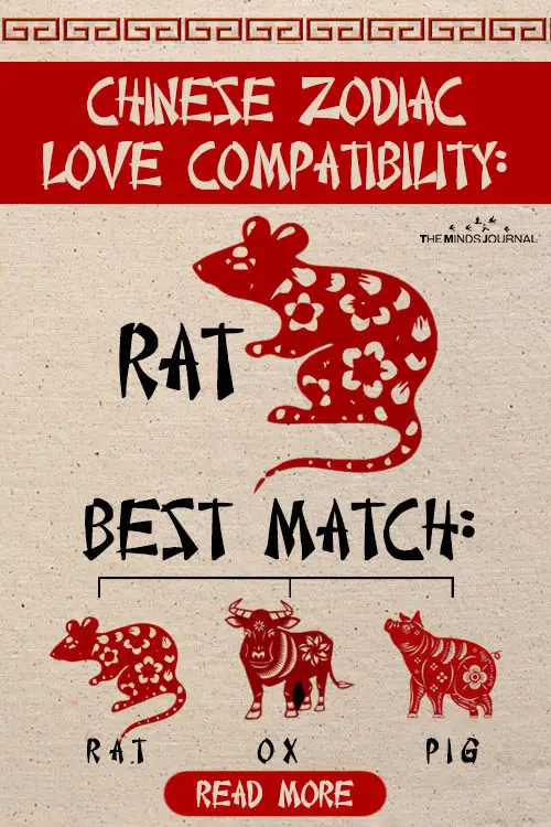 Chinese Zodiac Love Compatibility: Which Sign Is Your Soul Match?