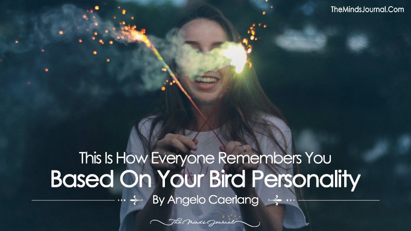 This Is How Everyone Remembers You Based On Your Bird Personality