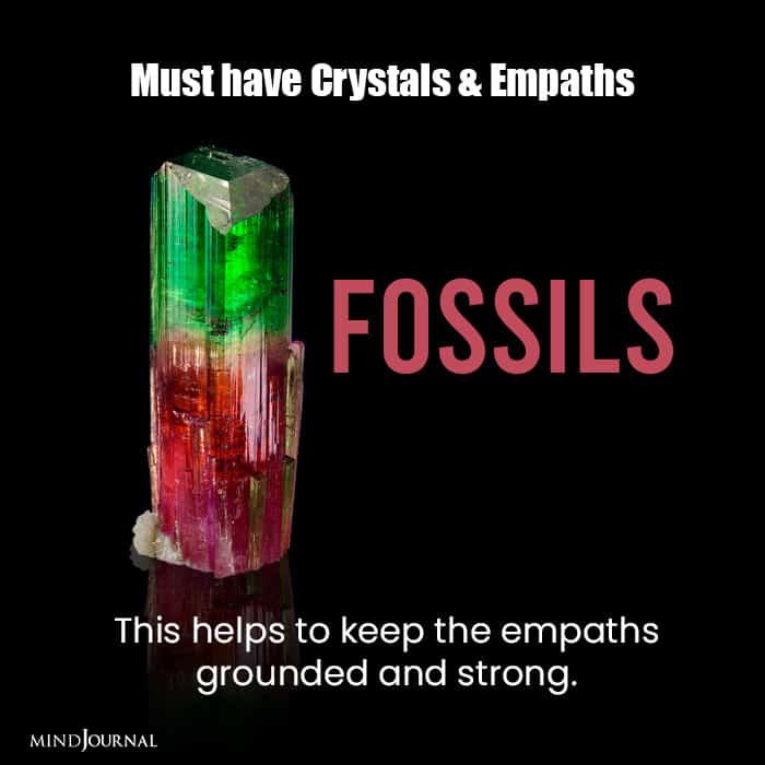 Crystals Stones for Empaths fossils
