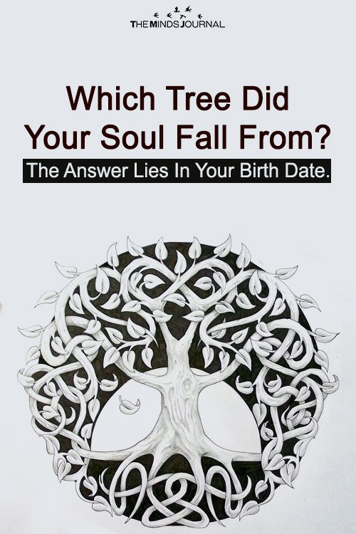 Which Tree Did Your Soul Fall From? The Answer Lies In Your Birth Date.