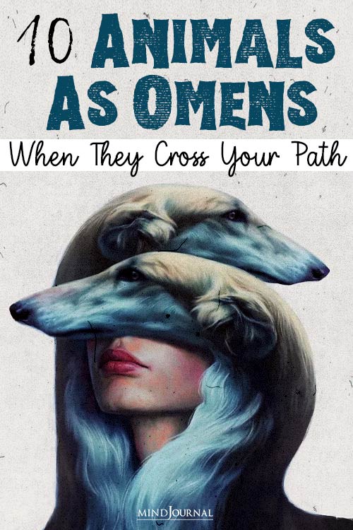 Animals As Omens When Cross Path pin