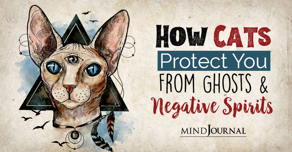 Cats Protect You From Ghosts Negative Spirits