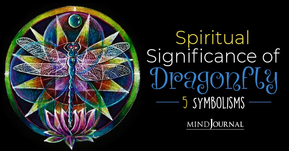 Dragonfly Meaning Symbolism Spiritual Significance