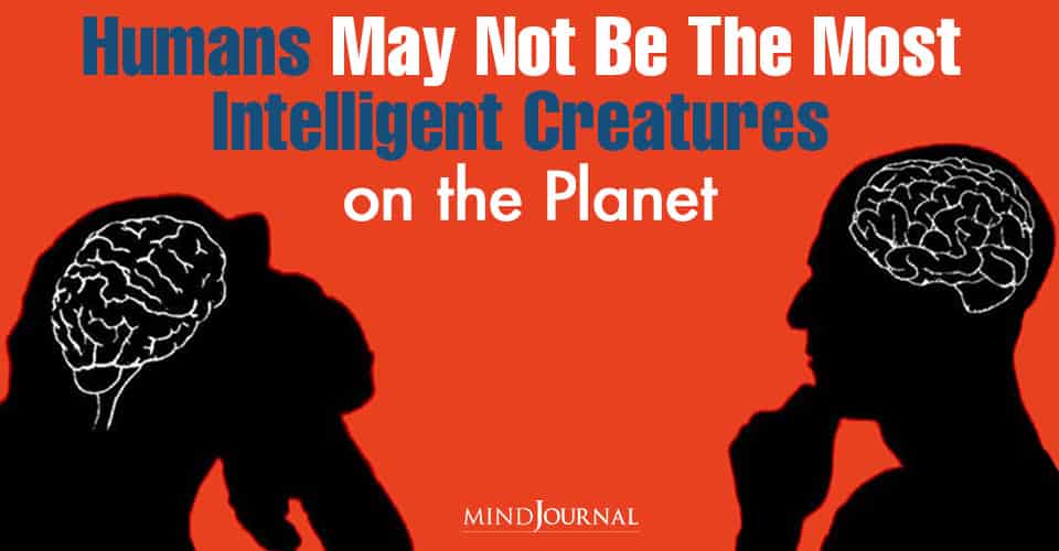 Humans May Not Be Most Intelligent Creatures Planet
