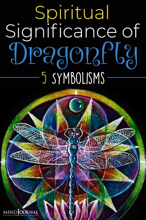Spiritual Significance of Dragonfly pinex