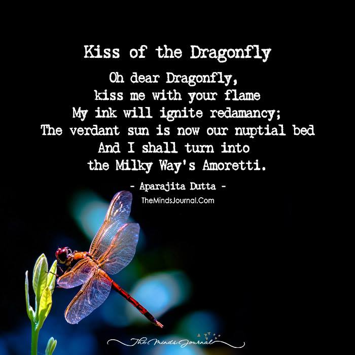 The Dragonfly Meaning Of Life