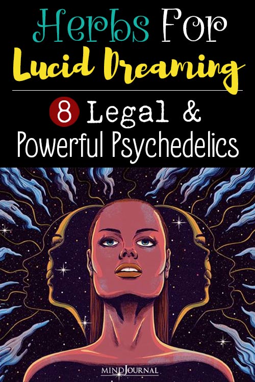 Legal Psychedelics Herbs For Lucid Dreaming