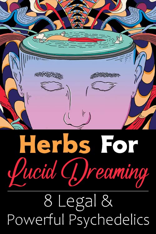 Legal Psychedelics Mystical Herbs For Lucid Dreaming pin