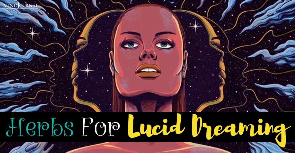 Legal Psychedelics Mystical Herbs For Lucid Dreaming