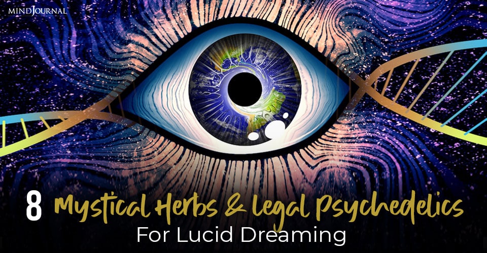 Mystical Herbs And Legal Psychedelics Lucid Dreaming