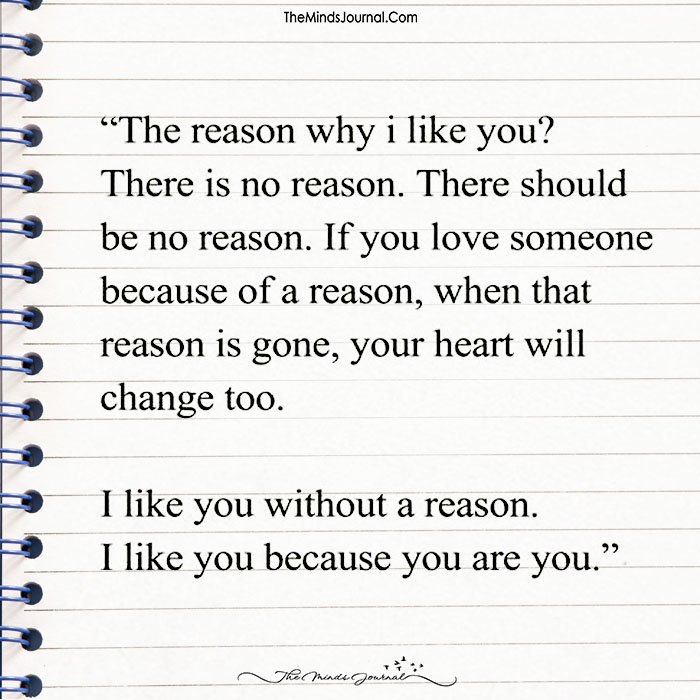 The Reason Why I Like You