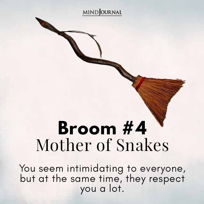 What kind of witch are you broom 4