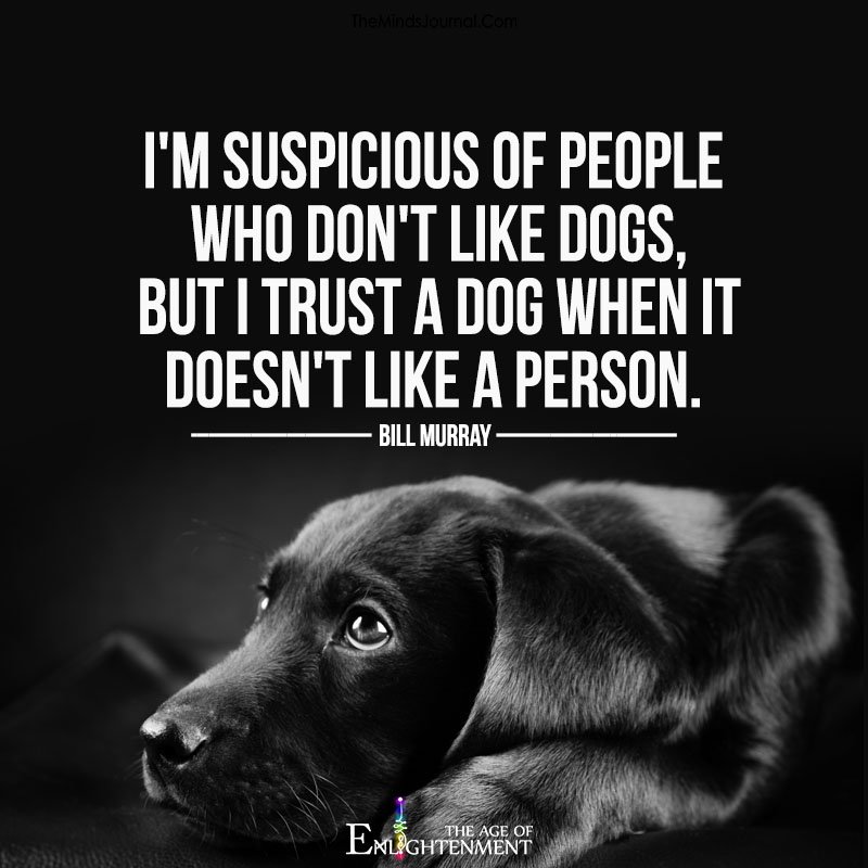 I'm suspicious of people who don't like dogs