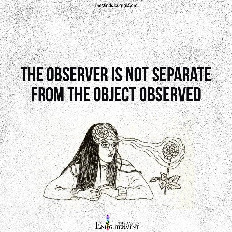 The observer is not seperate