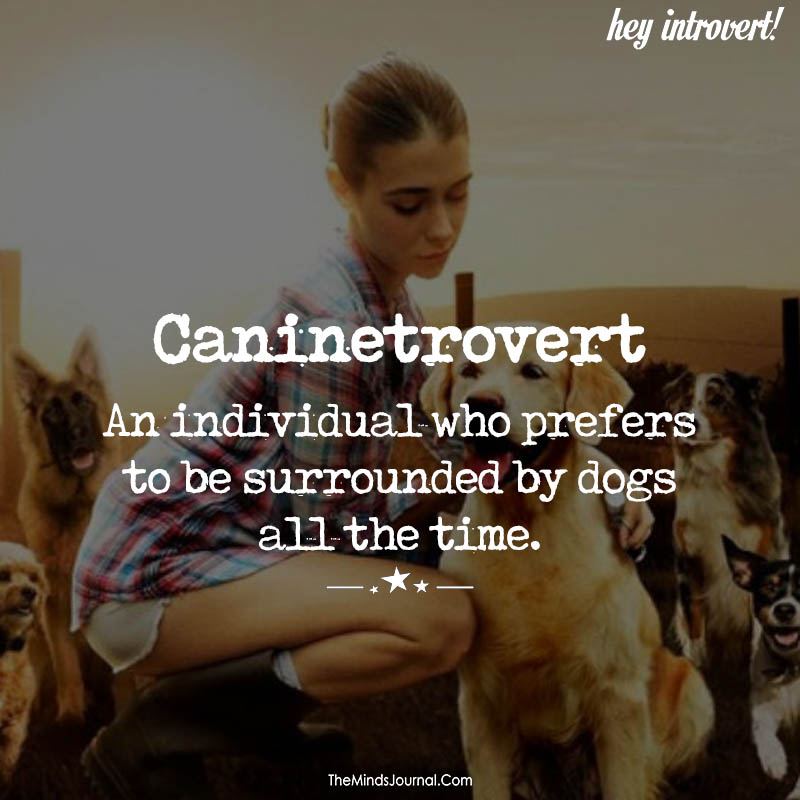 Caninetrovert