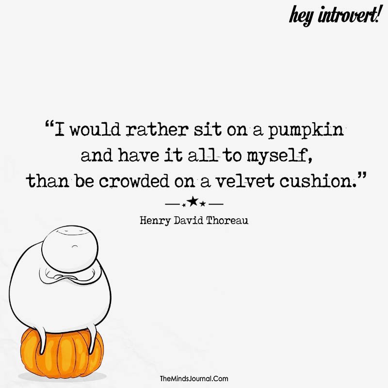 I would rather sit on a pumpkin