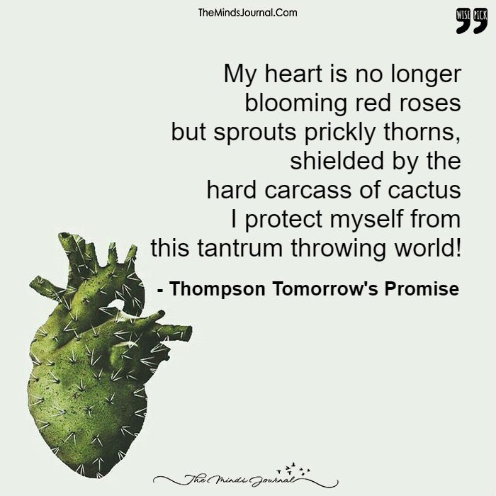 My Heart Is No Longer Blooming Red Roses But Sprouts Prickly Thorns