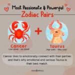 Compatible Zodiac Signs: 12 Zodiac Pairs That're The Most Passionate ...
