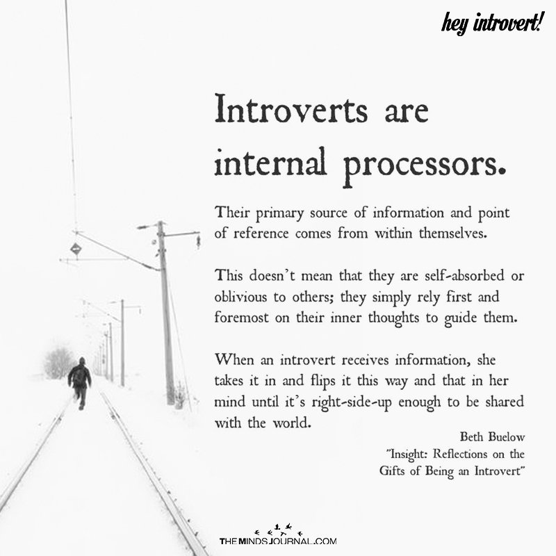 Introverts Are Internal Processors