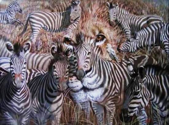 Which Animal Do You See First?