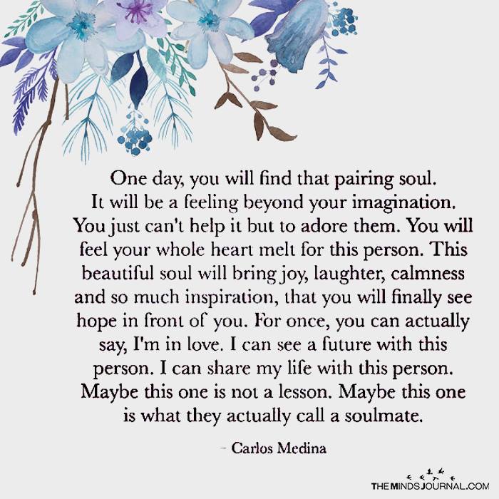One Day, You Will Find That Pairing Soul