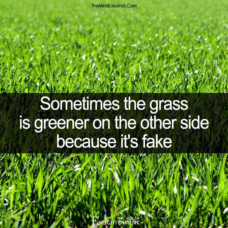 Sometimes the grass is greener on the other side