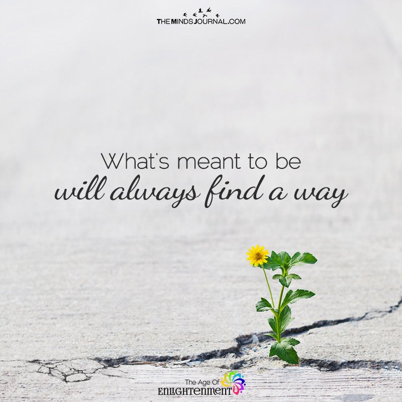 What Is Meant To Be Always Find a Way