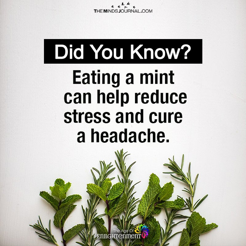 Eating A Mint Can Help Reduce Stress