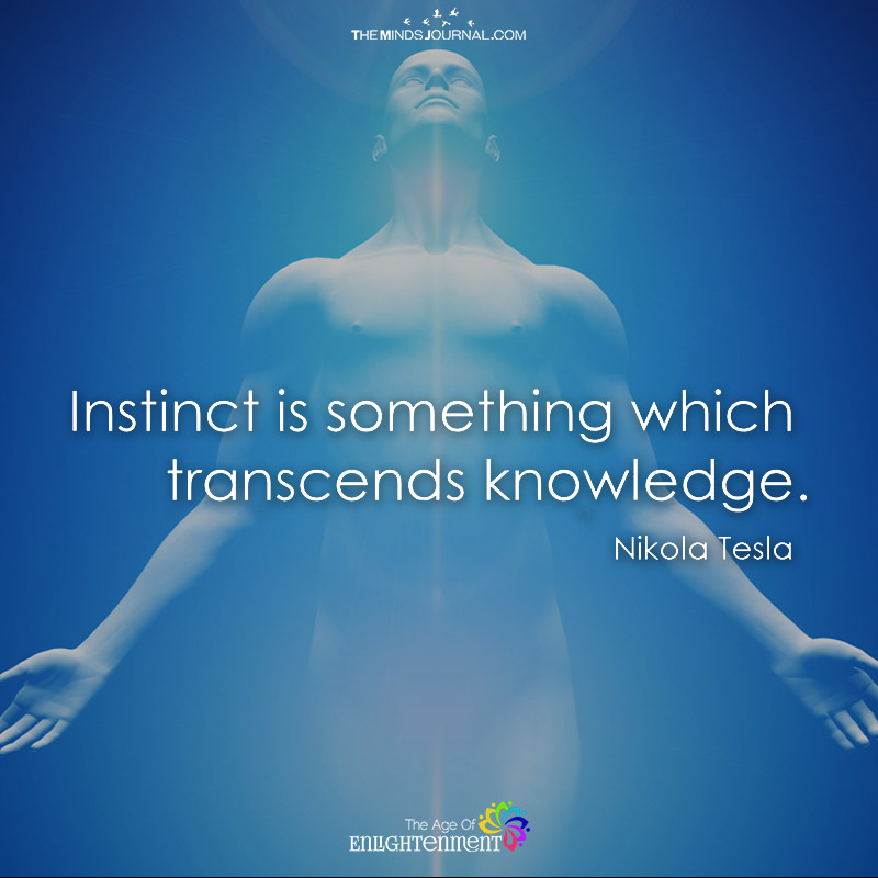 Instinct Is Something Which Transcends Knowledge