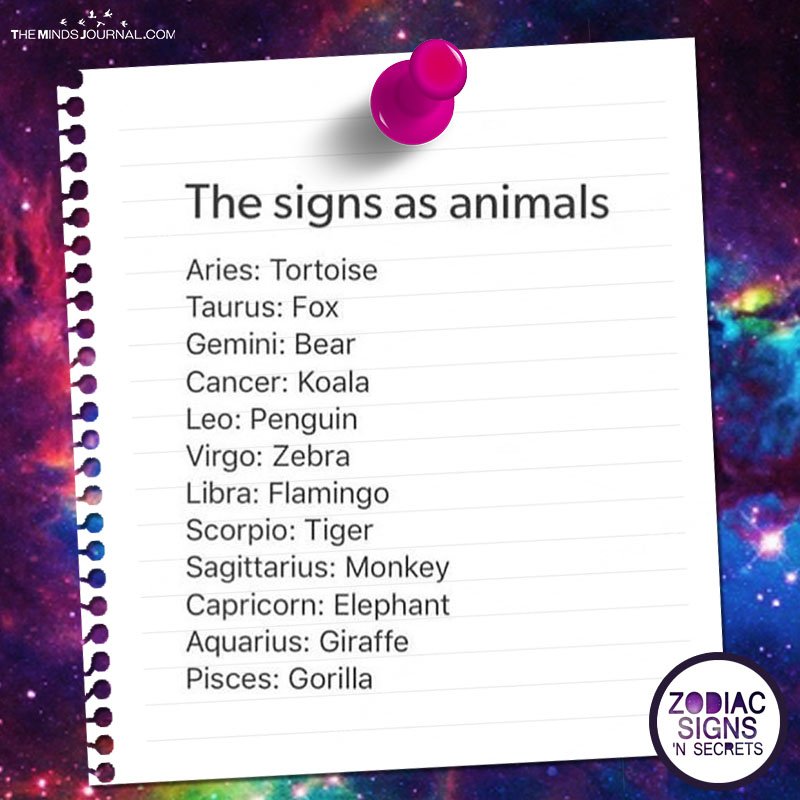 The Signs As Animals
