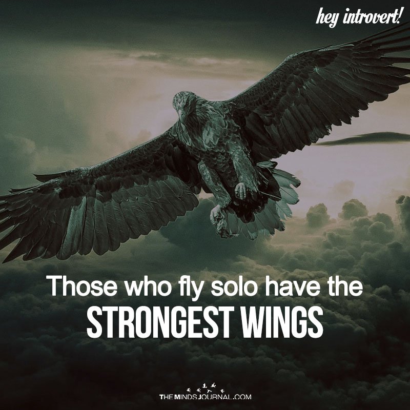 Those Who Fly Solo Have The Strongest Wings