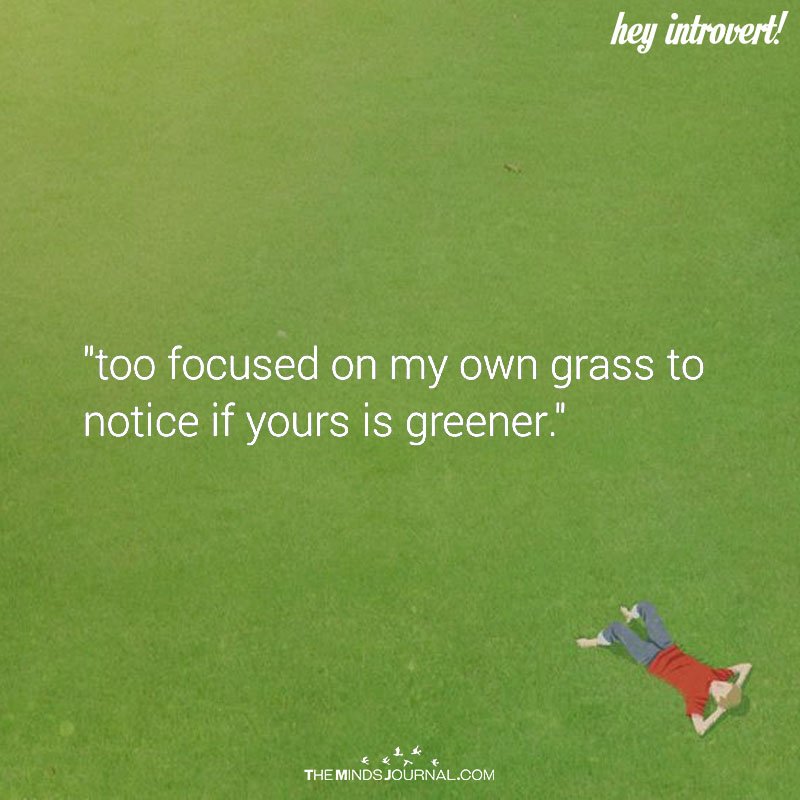 Too Focused on My Own Grass