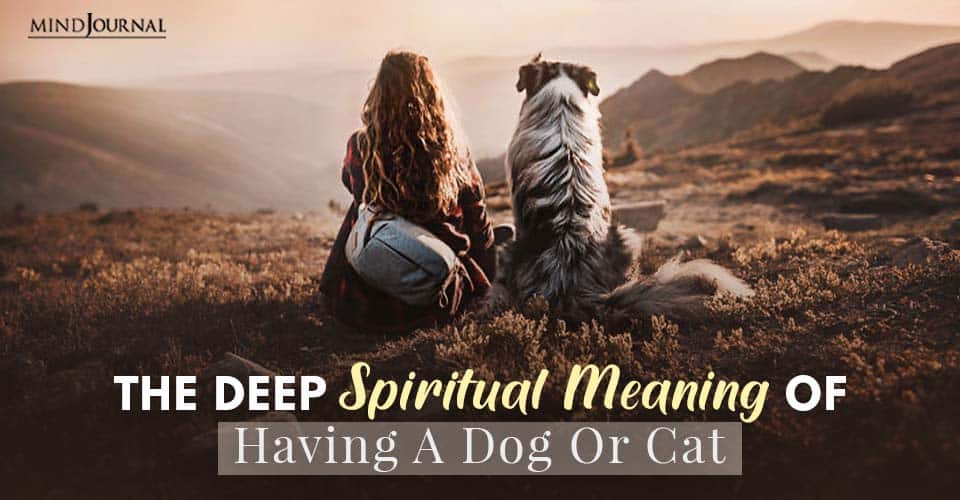 The Deep Spiritual Meaning Of Having A Dog Or Cat As A Pet