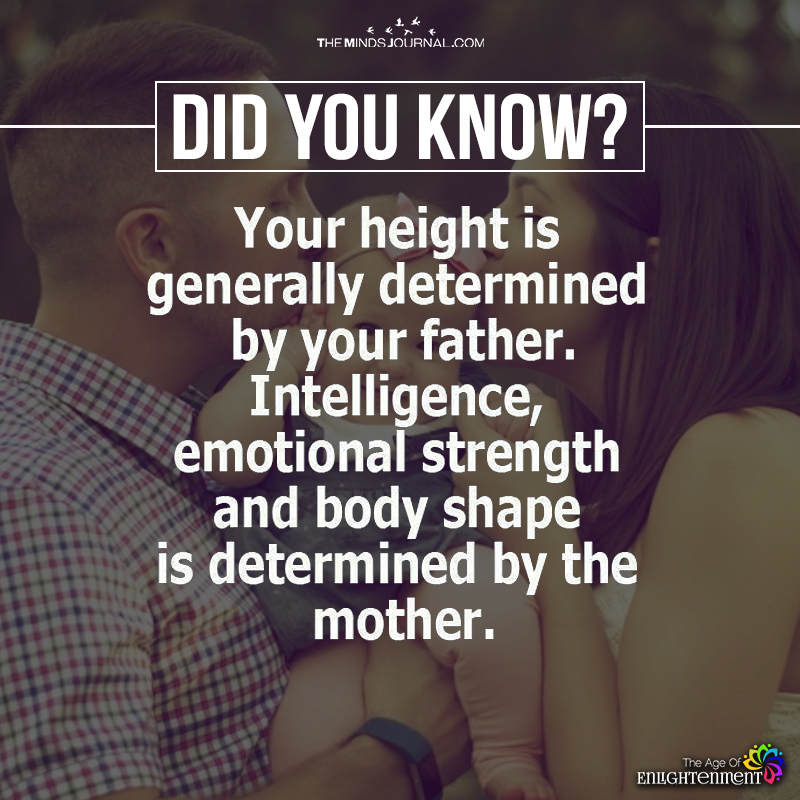 Your Height Is Generally Determined by Your Father