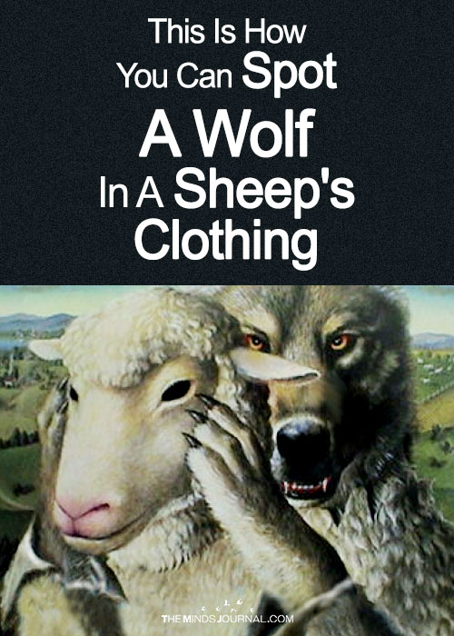 5 Ways To Spot A Wolf In Sheep's Clothing