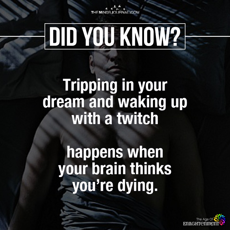 Tripping In Your Dream And Waking Up With A twitch