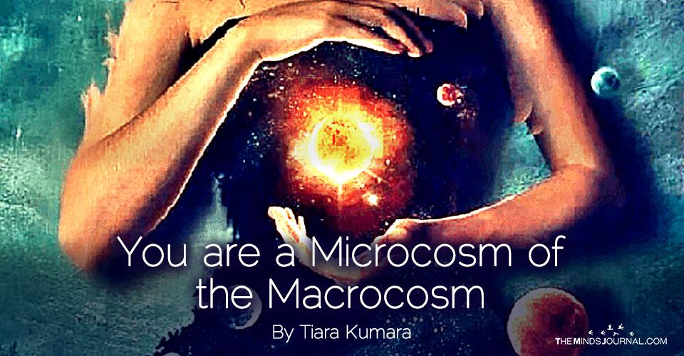 You are a Microcosm of the Macrocosm
