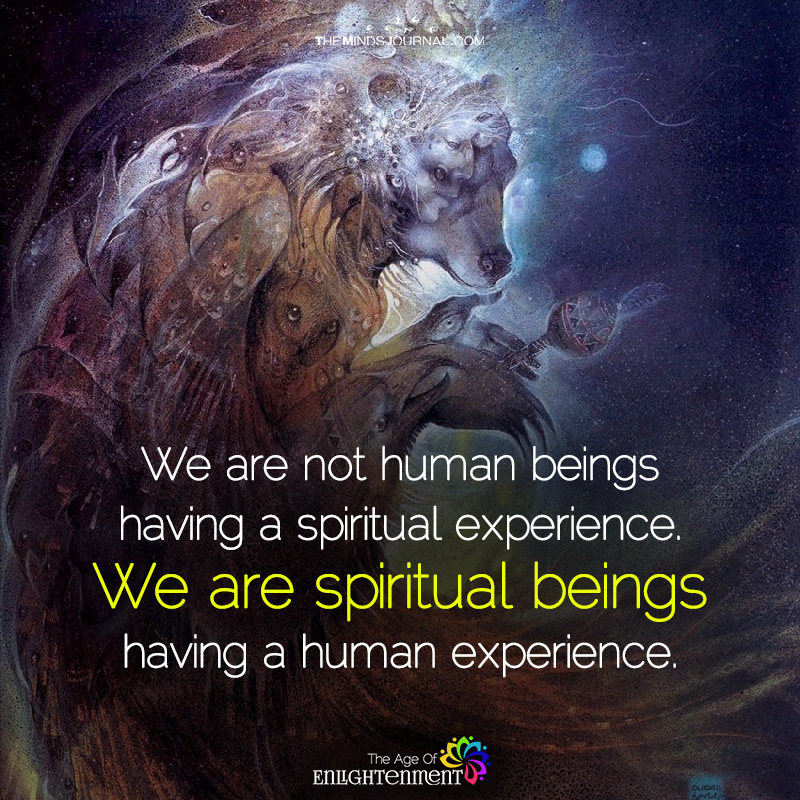 We Are Not Human Beings Having A Spiritual Experience