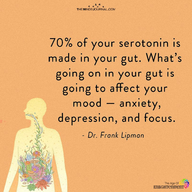 Your Serotonin Is Made In Your Gut